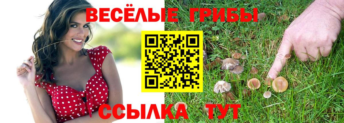 Галлюциногенные грибы GOLDEN TEACHER Белебей