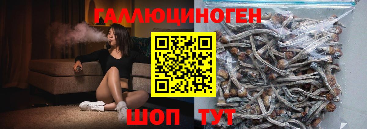 Псилоцибиновые грибы мицелий  Вход с VPN  Галлюциногенные грибы Psilocybine cubensis  Белебей 